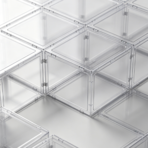 Modular Transparent Foldable Shoe Box System